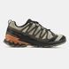 Кросівки Salomon XA PRO 3D V9 Gore-Tex Термо, Коричневий, 41
