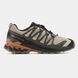 Кросівки Salomon XA PRO 3D V9 Gore-Tex Термо, Коричневий, 41