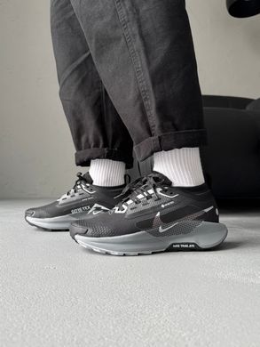 Кросівки Nike Pegasus Trail 5 Gore-Tex Black/Crey, Чорний, 40