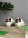 Кросівки Premiata Stevend 6483 Beige White Brown, Білий, 36