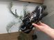 Кросівки New Balance 530 x MIU MIU Black, Чорний, 36