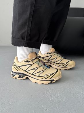 Кросівки Salomon XT-6 Beige Gore-Tex, Бежевий, 40