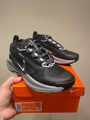 Кросівки Nike Pegasus Trail 5 Gore-Tex Black/Crey, Чорний, 40