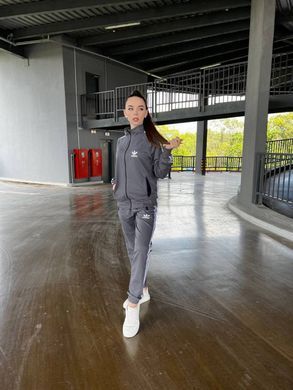 Спортивний костюм Adidas сірий, стойка, весна/осінь, Сірий, S