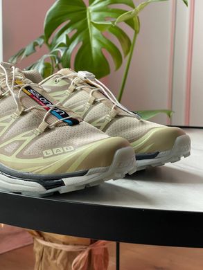 Кросівки Salomon XT-6 Clear Safari/Magnet/Vanilla Ice , Бежевий, 36