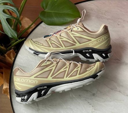 Кросівки Salomon XT-6 Clear Safari/Magnet/Vanilla Ice , Бежевий, 36