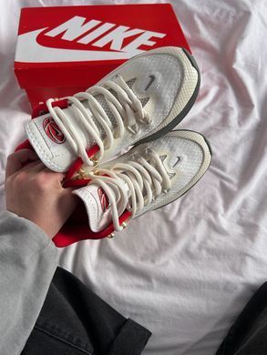 Баскетбольні кросівки Nike S.T. Flare EP 'Pure Platinum', Білий, 40