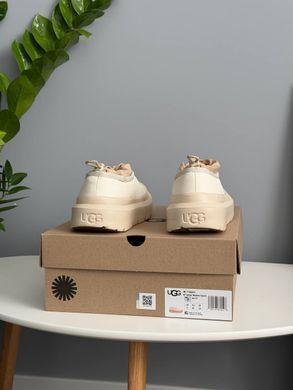 Черевики UGG Tasman Hybrid Beige ❄️, Бежевий, 36