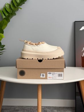 Черевики UGG Tasman Hybrid Beige ❄️, Бежевий, 36