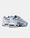 Кросівки Nike Air Max Plus Drift 'Ashen Slate' FV4081-101, Сірий, 41