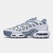 Кросівки Nike Air Max Plus Drift 'Ashen Slate' FV4081-101, Сірий, 41