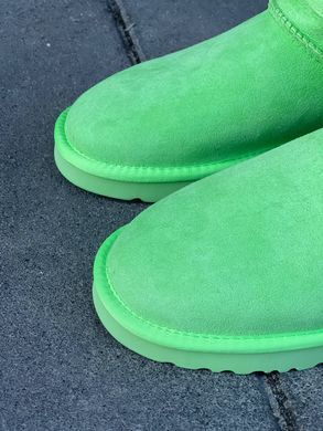 Ugg Classic Ultra Mini Parakeet Green ❄️, Зелений, 36