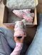 Кросівки Nike V5 RNR Custom Pink, Рожевий, 36