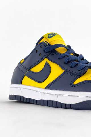 nike dunks michigan low