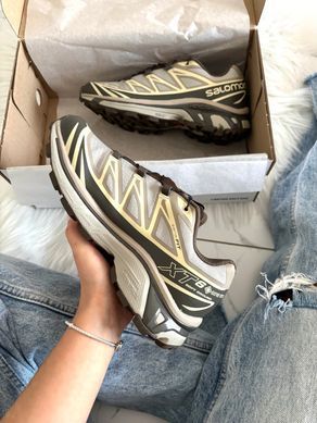 Вологостійкі кросівки Salomon XT-6 Vintage Khaki Gore-Tex, Сірий, 40