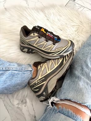 Вологостійкі кросівки Salomon XT-6 Vintage Khaki Gore-Tex, Сірий, 40