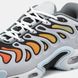 Кросівки Nike Air Max Plus Drift 'Light Smoke Grey', Сірий, 40