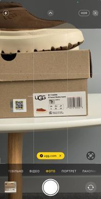 Черевики UGG Tasman Hybrid Chestnut Beige ❄️, Бежевий, 36