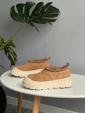 Черевики UGG Tasman Hybrid Chestnut Beige ❄️, Бежевий, 36