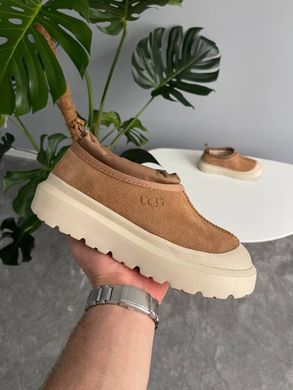 Черевики UGG Tasman Hybrid Chestnut Beige ❄️, Бежевий, 36