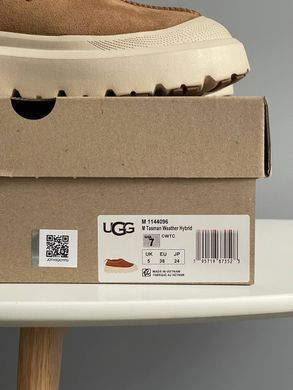Черевики UGG Tasman Hybrid Chestnut Beige ❄️, Бежевий, 36