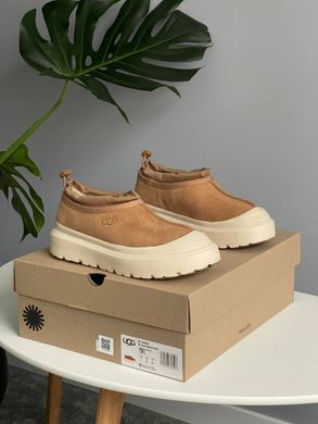 Черевики UGG Tasman Hybrid Chestnut Beige ❄️, Бежевий, 36