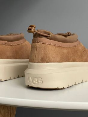 Черевики UGG Tasman Hybrid Chestnut Beige ❄️, Бежевий, 36
