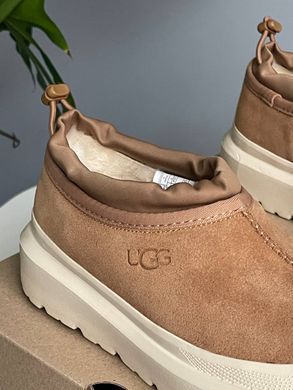 Черевики UGG Tasman Hybrid Chestnut Beige ❄️, Бежевий, 36