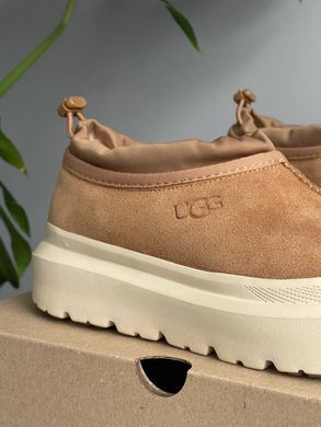 Черевики UGG Tasman Hybrid Chestnut Beige ❄️, Бежевий, 36