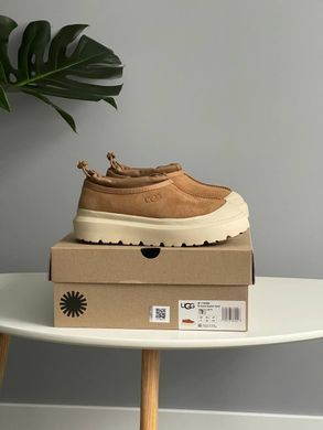 Черевики UGG Tasman Hybrid Chestnut Beige ❄️, Бежевий, 36
