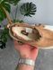 Черевики UGG Tasman Hybrid Chestnut Beige ❄️, Бежевий, 36