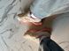 Кросівки New Balance 9060 Joe Freshgoods Inside Voices Baby Show, Комбінований, 36