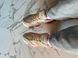 Кросівки New Balance 9060 Joe Freshgoods Inside Voices Baby Show, Комбінований, 36