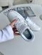 Кросівки Nike SB Dunk Low White Platinum Grey (Білий), Білий, 36