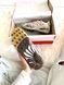 Кросівки Puma Inhale Distressed Pack Alpine Snow x A$AP Rocky, Бежевий, 38