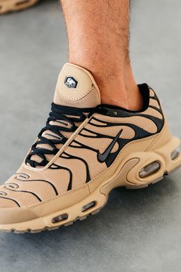 Кросівки Nike Air Max TN Plus Biege, Бежевий, 40